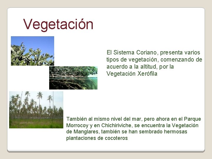 Vegetación El Sistema Coriano, presenta varios tipos de vegetación, comenzando de acuerdo a la
