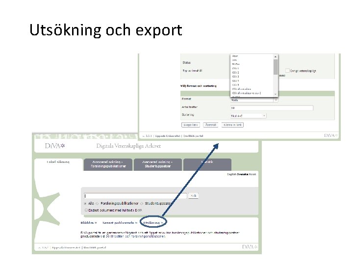 Utsökning och export 