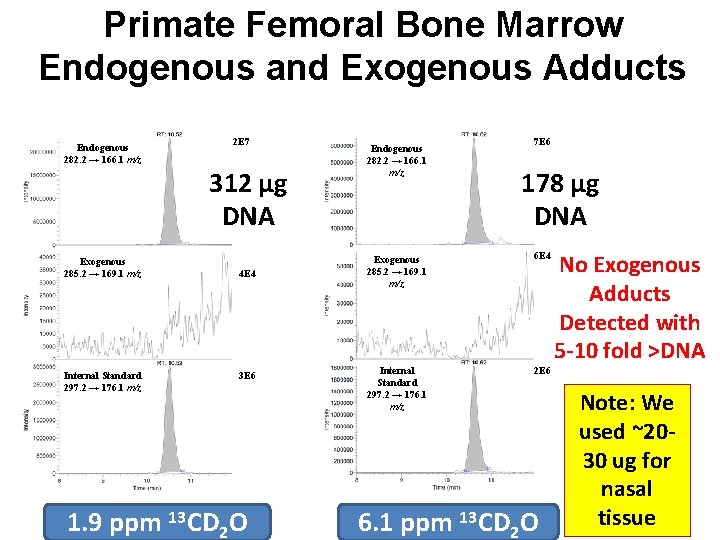 Primate Femoral Bone Marrow Endogenous and Exogenous Adducts Endogenous 282. 2 → 166. 1