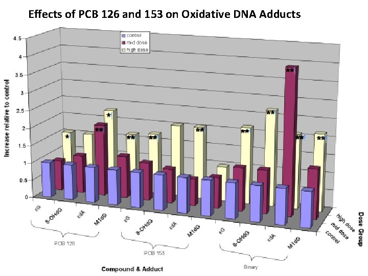 Effects of PCB 126 and 153 on Oxidative DNA Adducts 
