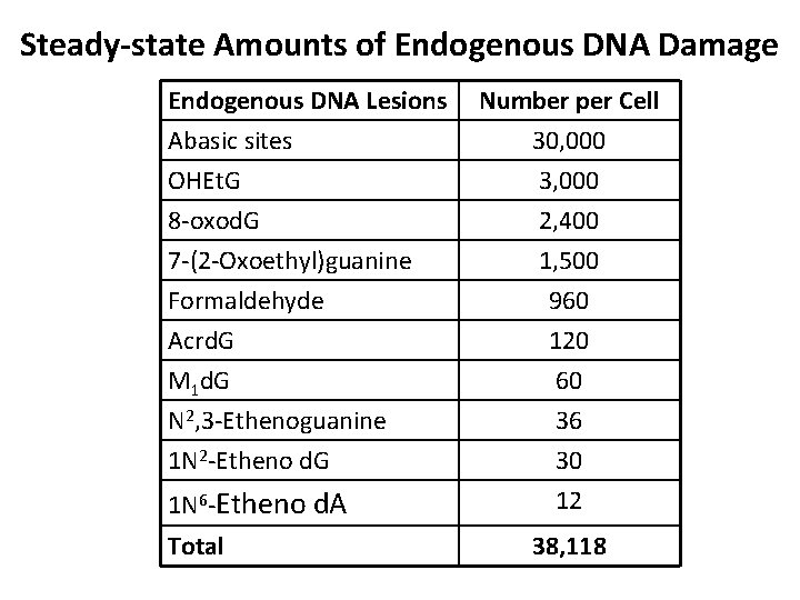 Steady-state Amounts of Endogenous DNA Damage Endogenous DNA Lesions Abasic sites OHEt. G Number