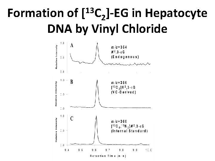 Formation of [13 C 2]-EG in Hepatocyte DNA by Vinyl Chloride 