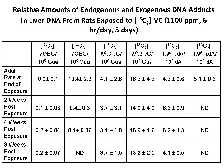 Relative Amounts of Endogenous and Exogenous DNA Adducts in Liver DNA From Rats Exposed