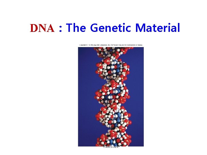 DNA : The Genetic Material 
