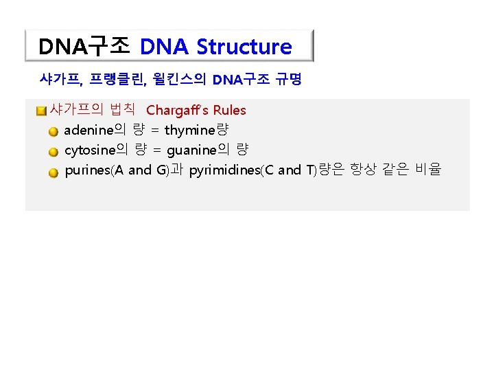 DNA구조 DNA Structure 샤가프, 프랭클린, 윌킨스의 DNA구조 규명 샤가프의 법칙 Chargaff’s Rules adenine의 량