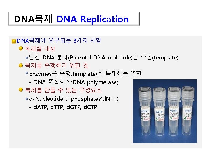 DNA복제 DNA Replication DNA복제에 요구되는 3가지 사항 복제할 대상 양친 DNA 분자(Parental DNA molecule)는