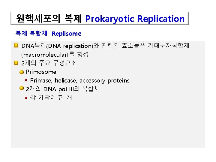 원핵세포의 복제 Prokaryotic Replication 복제 복합체 Replisome DNA복제(DNA replication)와 관련된 효소들은 거대분자복합체 (macromolecular)를 형성