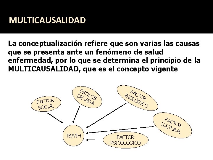 MULTICAUSALIDAD La conceptualización refiere que son varias las causas que se presenta ante un MULTICAUSALIDAD La conceptualización refiere que son varias las causas que se presenta ante un