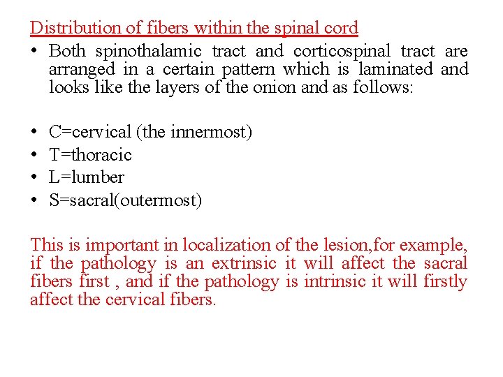 Distribution of fibers within the spinal cord • Both spinothalamic tract and corticospinal tract