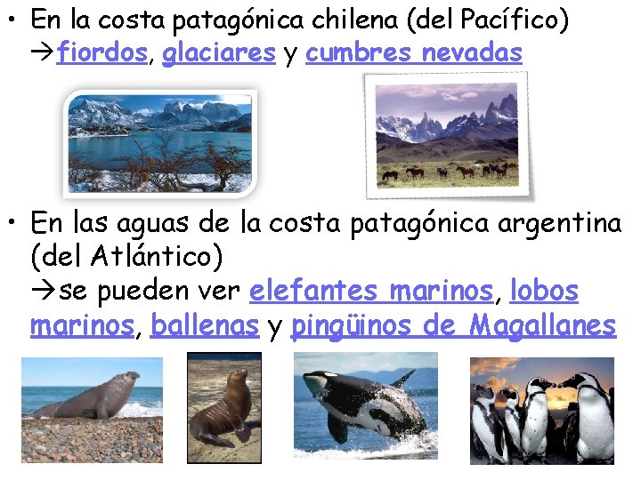  • En la costa patagónica chilena (del Pacífico) fiordos, glaciares y cumbres nevadas