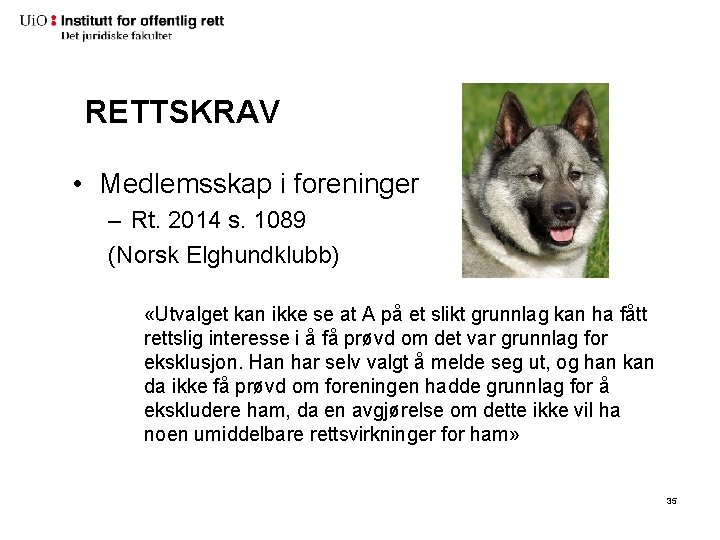 RETTSKRAV • Medlemsskap i foreninger – Rt. 2014 s. 1089 (Norsk Elghundklubb) «Utvalget kan RETTSKRAV • Medlemsskap i foreninger – Rt. 2014 s. 1089 (Norsk Elghundklubb) «Utvalget kan