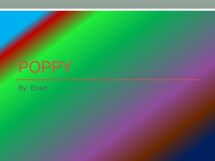 POPPY By: Evan 