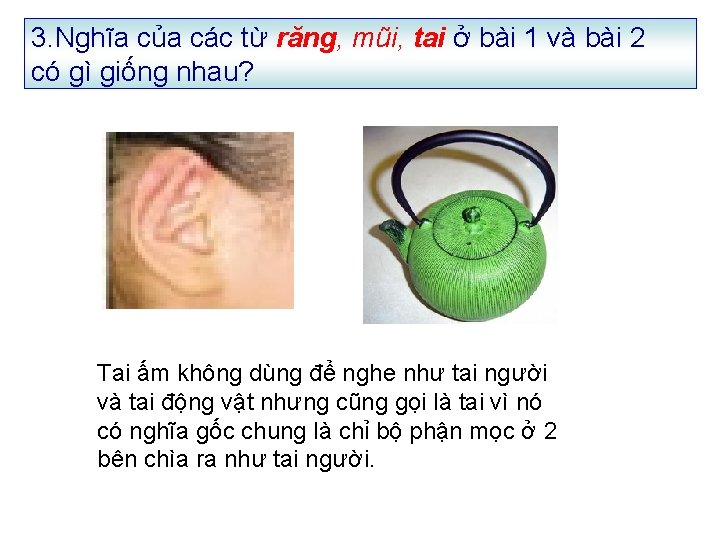 3. Nghĩa của các từ răng, mũi, tai ở bài 1 và bài 2 3. Nghĩa của các từ răng, mũi, tai ở bài 1 và bài 2