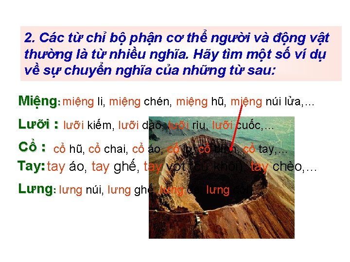 2. Các từ chỉ bộ phận cơ thể người và động vật thường là 2. Các từ chỉ bộ phận cơ thể người và động vật thường là