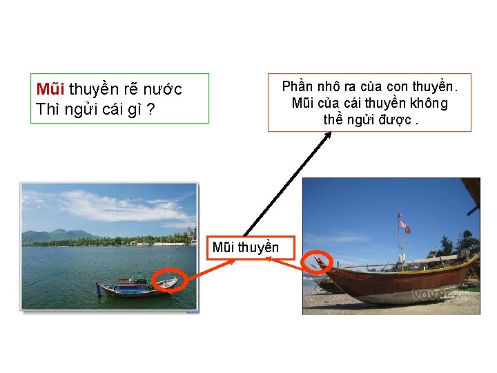Phần nhô ra của con thuyền. Mũi của cái thuyền không thể ngửi được. Phần nhô ra của con thuyền. Mũi của cái thuyền không thể ngửi được.