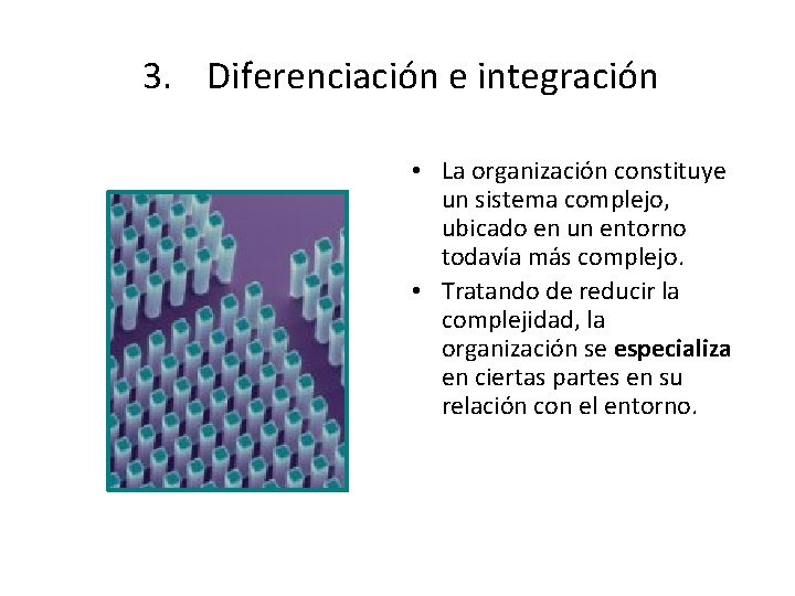 3. Diferenciación e integración • La organización constituye un sistema complejo, ubicado en un