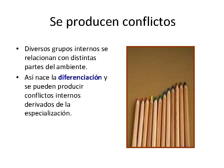 Se producen conflictos • Diversos grupos internos se relacionan con distintas partes del ambiente.