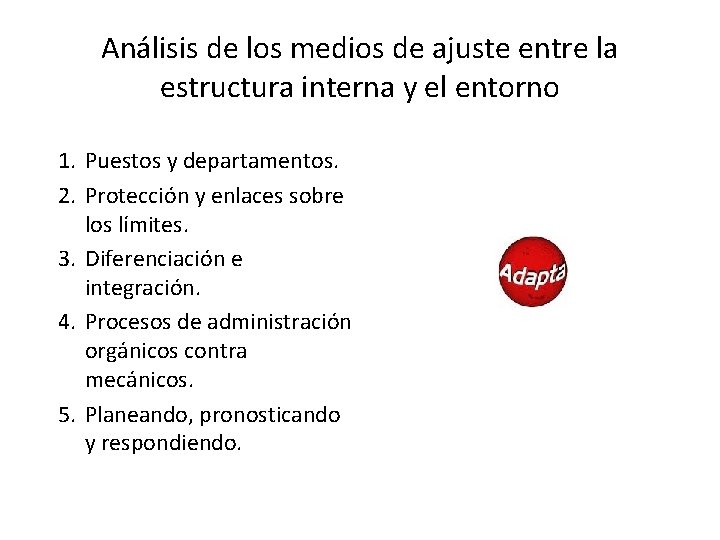 Análisis de los medios de ajuste entre la estructura interna y el entorno 1.