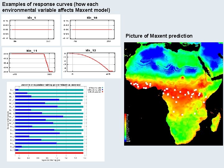 Examples of response curves (how each environmental variable affects Maxent model) Picture of Maxent