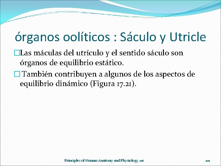 órganos oolíticos : Sáculo y Utricle �Las máculas del utrículo y el sentido sáculo