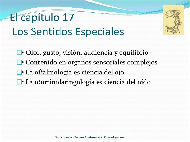 El capítulo 17 Los Sentidos Especiales � • Olor, gusto, visión, audiencia y equilibrio