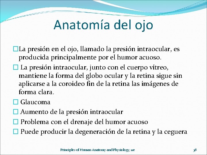 Anatomía del ojo �La presión en el ojo, llamado la presión intraocular, es producida