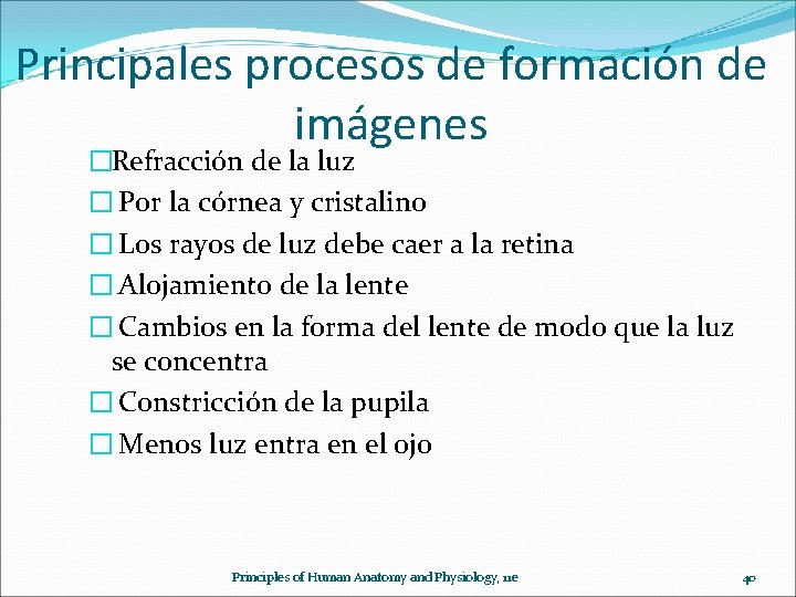 Principales procesos de formación de imágenes �Refracción de la luz � Por la córnea