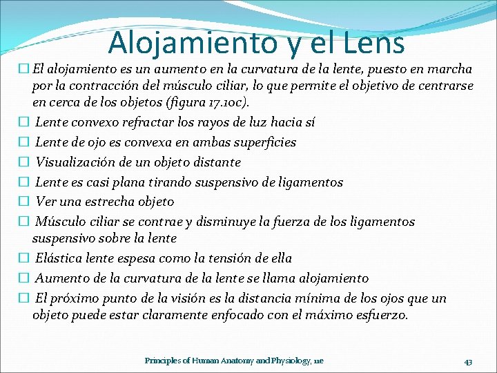 Alojamiento y el Lens � El alojamiento es un aumento en la curvatura de