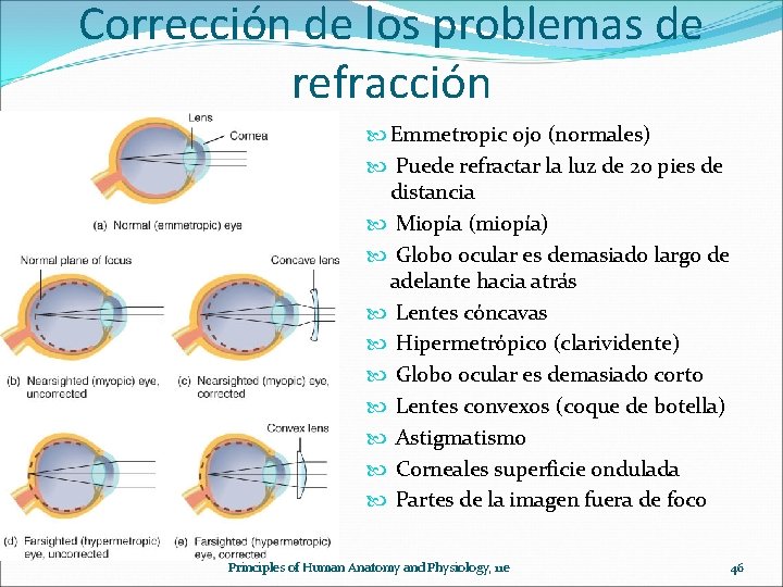 Corrección de los problemas de refracción Emmetropic ojo (normales) Puede refractar la luz de