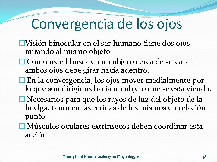 Convergencia de los ojos �Visión binocular en el ser humano tiene dos ojos mirando