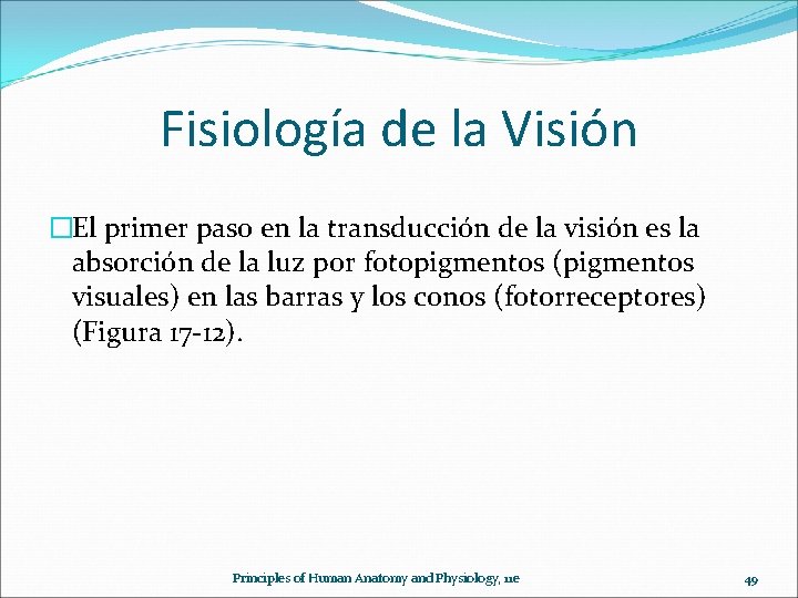 Fisiología de la Visión �El primer paso en la transducción de la visión es
