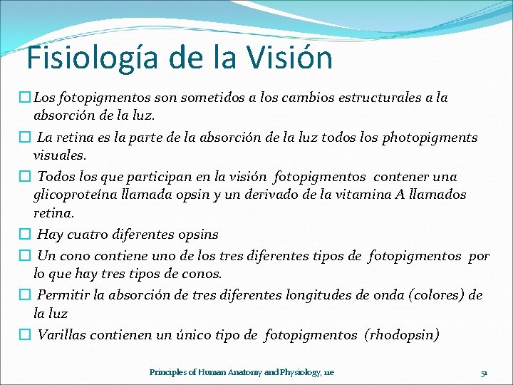 Fisiología de la Visión � Los fotopigmentos son sometidos a los cambios estructurales a