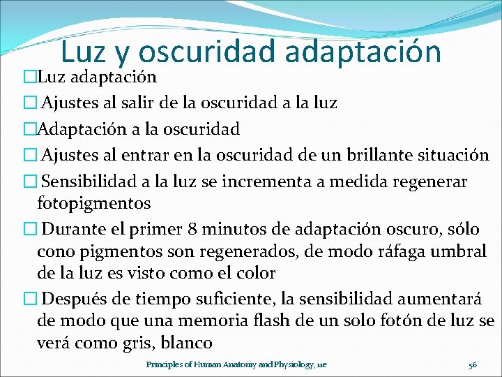 Luz y oscuridad adaptación �Luz adaptación � Ajustes al salir de la oscuridad a