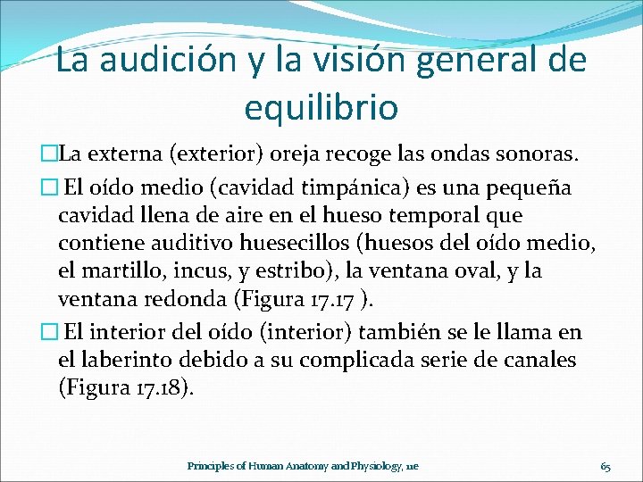 La audición y la visión general de equilibrio �La externa (exterior) oreja recoge las