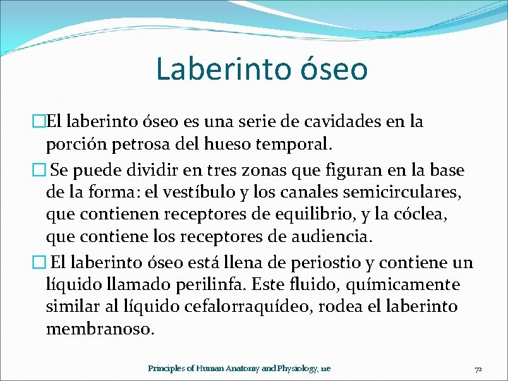  Laberinto óseo �El laberinto óseo es una serie de cavidades en la porción