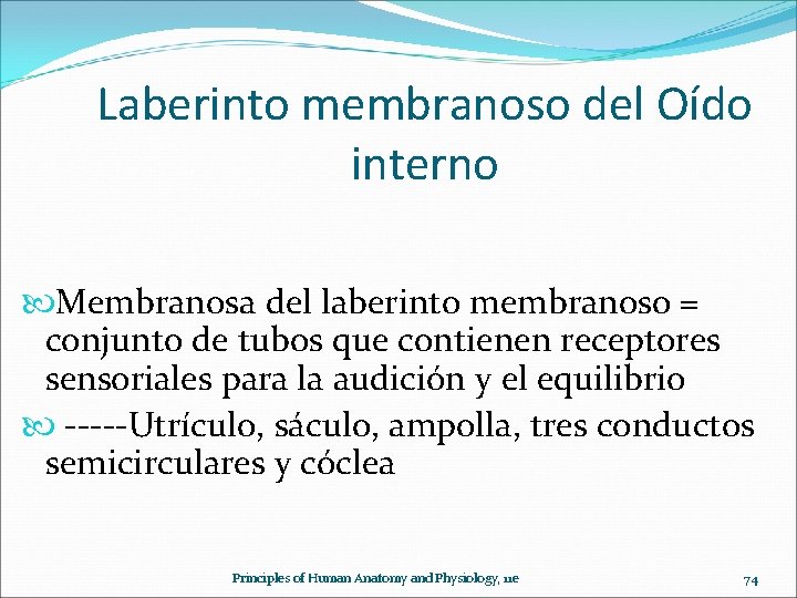 Laberinto membranoso del Oído interno Membranosa del laberinto membranoso = conjunto de tubos que