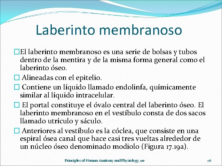  Laberinto membranoso �El laberinto membranoso es una serie de bolsas y tubos dentro