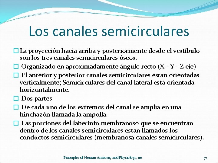 Los canales semicirculares �La proyección hacia arriba y posteriormente desde el vestíbulo son los