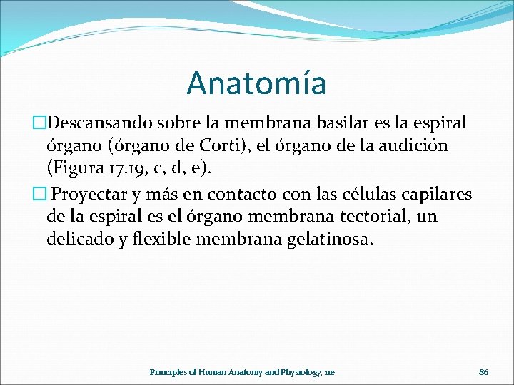 Anatomía �Descansando sobre la membrana basilar es la espiral órgano (órgano de Corti), el