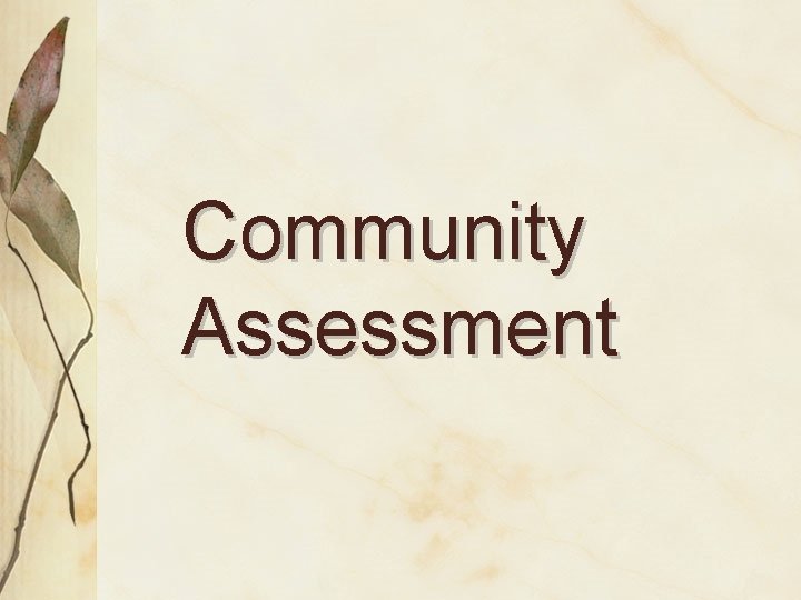 Community Assessment 