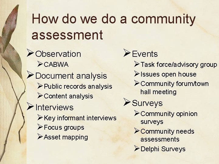 How do we do a community assessment ØObservation ØCABWA ØDocument analysis ØPublic records analysis