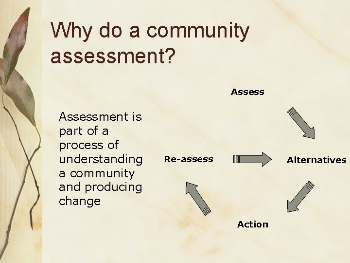 Why do a community assessment? Assessment is part of a process of understanding a