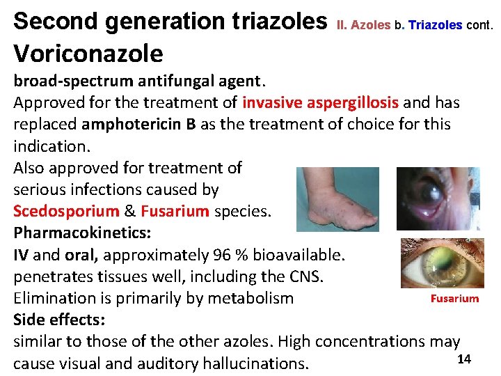 Second generation triazoles Voriconazole II. Azoles b. Triazoles cont. broad-spectrum antifungal agent. Approved for