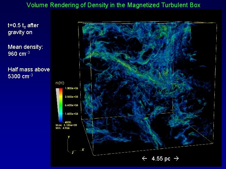 Volume Rendering of Density in the Magnetized Turbulent Box t=0. 5 tff after gravity