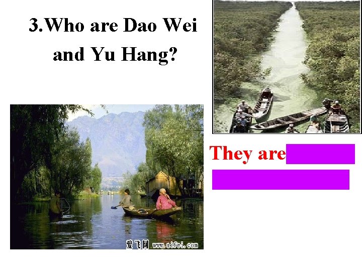 3. Who are Dao Wei and Yu Hang? They are Wang Kun’s cousins. 