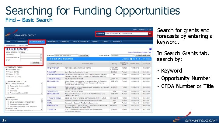 Searching for Funding Opportunities Find – Basic Search for grants and forecasts by entering
