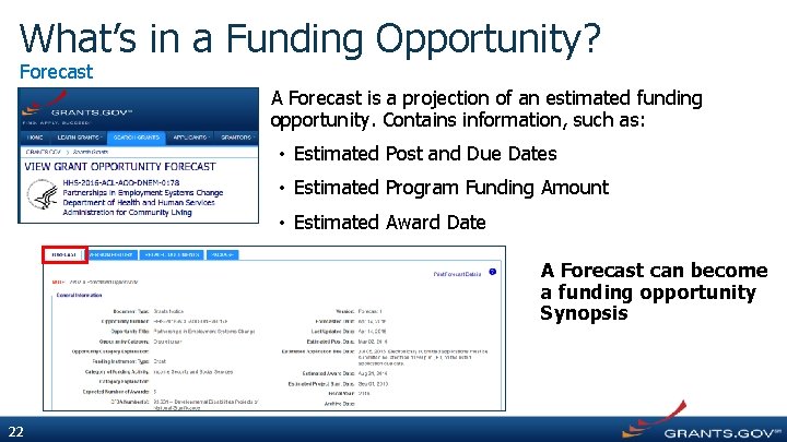 What’s in a Funding Opportunity? Forecast A Forecast is a projection of an estimated