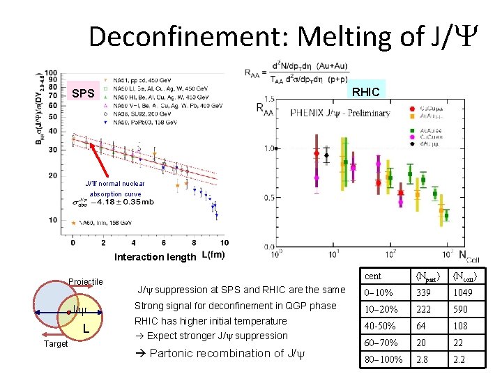 Deconfinement: Melting of J/Y RHIC SPS J/Y normal nuclear absorption curve Interaction length Projectile