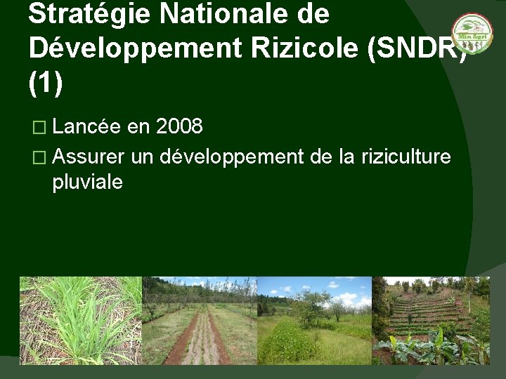 Stratégie Nationale de Développement Rizicole (SNDR) (1) � Lancée en 2008 � Assurer un