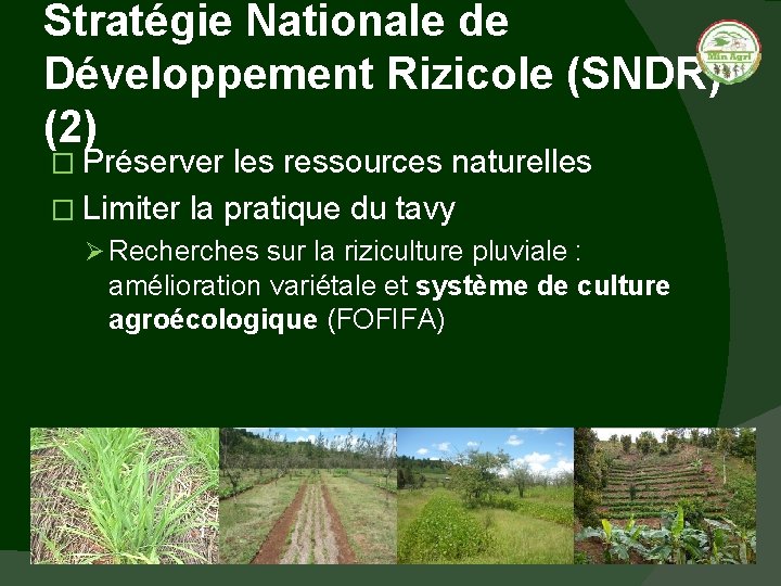 Stratégie Nationale de Développement Rizicole (SNDR) (2) � Préserver les ressources naturelles � Limiter